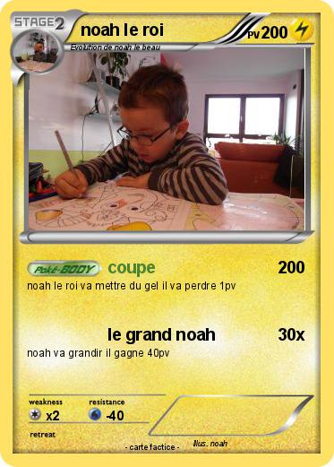 Pokemon noah le roi