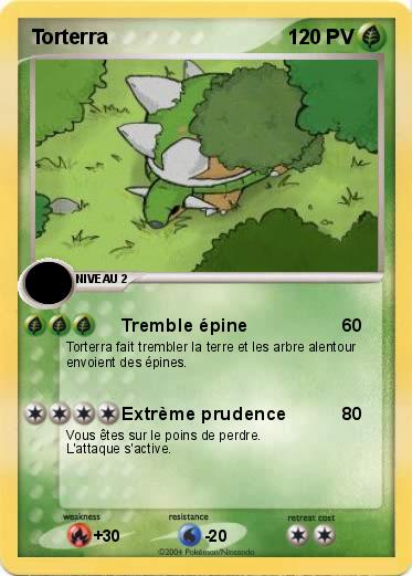 Pokemon Torterra