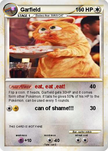 Pokemon Garfield