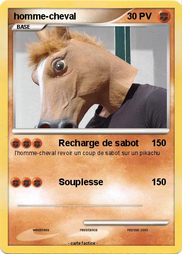 Pokemon homme-cheval