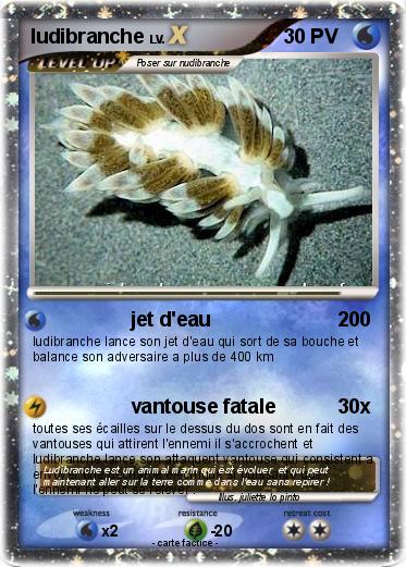 Pokemon ludibranche