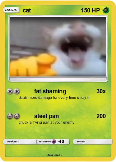 Pokemon cat