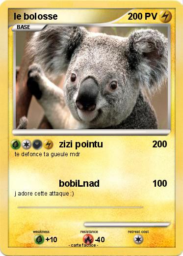 Pokemon le bolosse