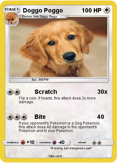 Pokemon Doggo Poggo