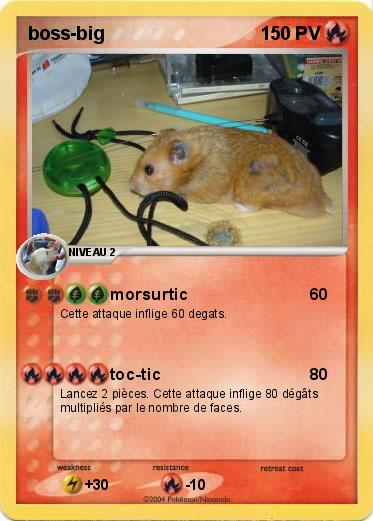 Pokemon boss-big