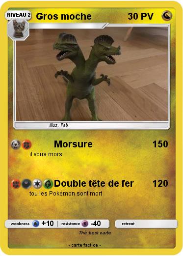 Pokemon Gros moche