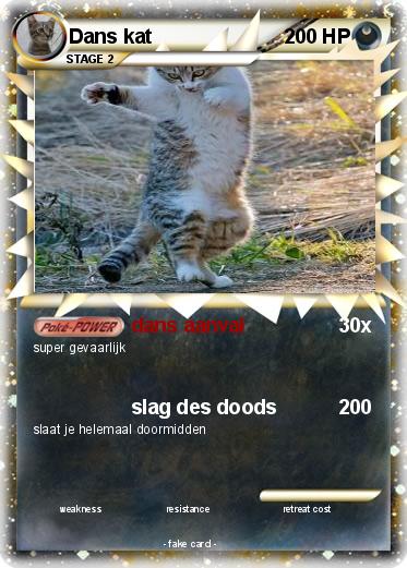 Pokemon Dans kat