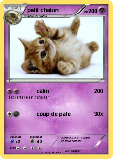 Pokemon petit chaton