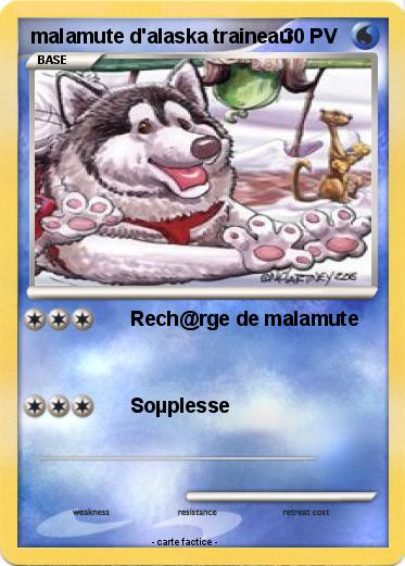 Pokemon malamute d'alaska traineau
