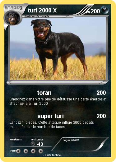 Pokemon turi 2000 X