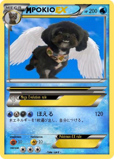Pokemon POKIO