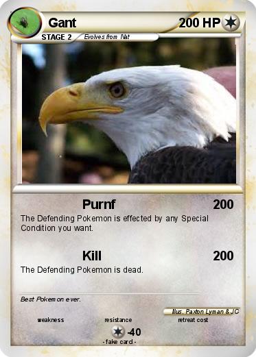 Pokemon Gant