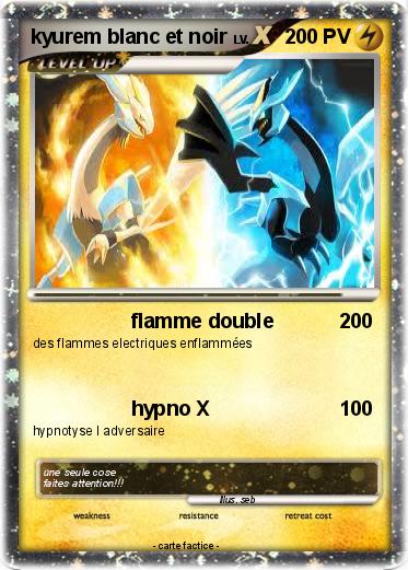 Pokemon kyurem blanc et noir