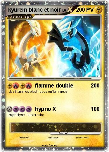 Pokemon kyurem blanc et noir