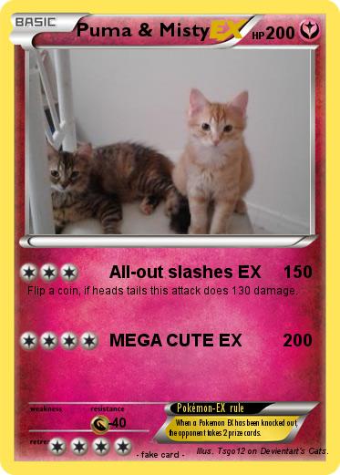 Pokemon Puma & Misty