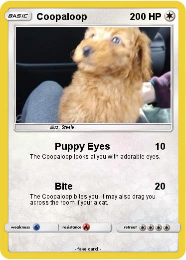 Pokemon Coopaloop