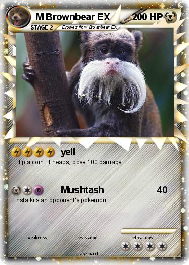 Pokemon M Brownbear EX