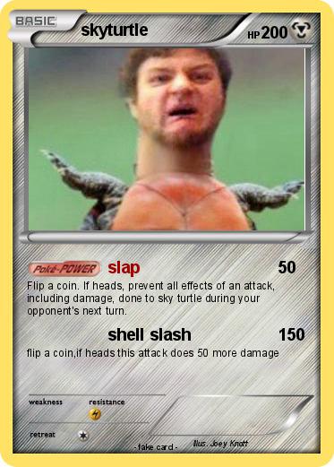 Pokemon skyturtle