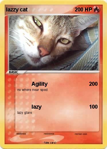 Pokemon lazzy cat