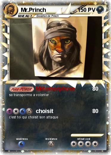 Pokemon Mr.Princh