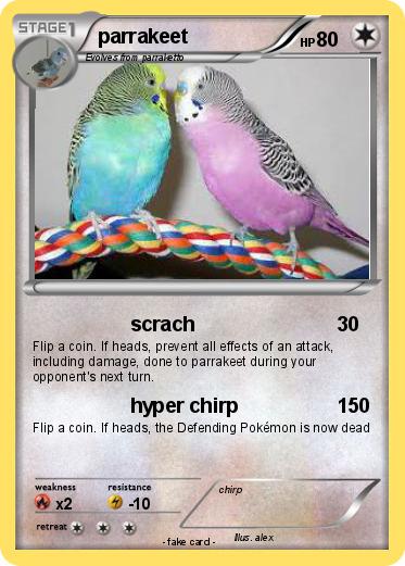 Pokemon parrakeet
