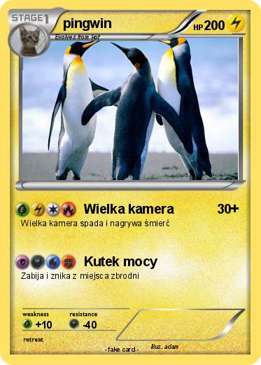 Pokemon pingwin