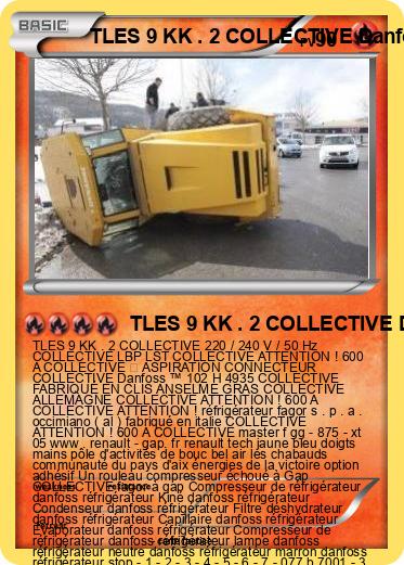 Pokemon TLES 9 KK . 2 COLLECTIVE Danfoss ™