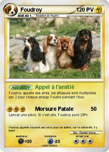 Pokemon Foudroy