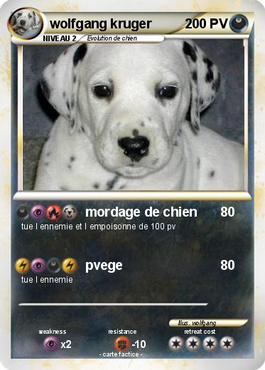 Pokemon wolfgang kruger