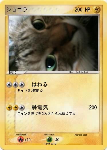Pokemon ショコラ