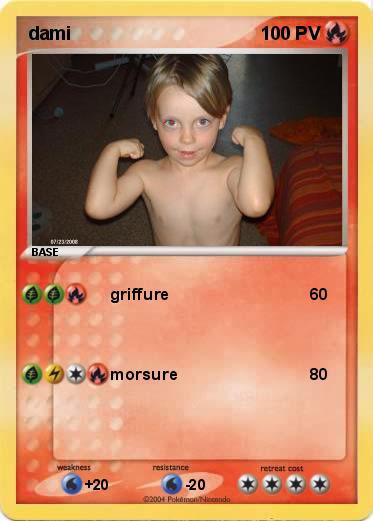 Pokemon dami