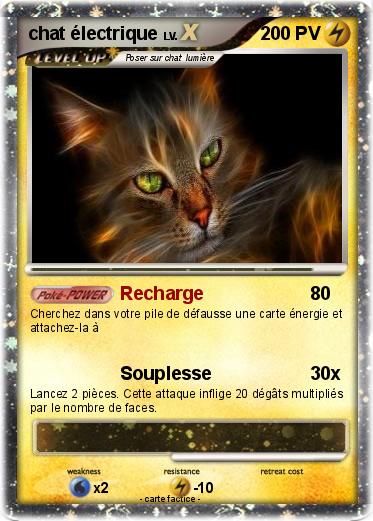 Pokemon chat électrique