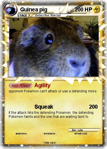 Pokemon Guinea pig