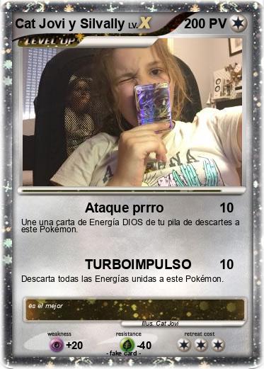 Pokemon Cat Jovi y Silvally