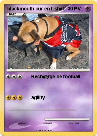 Pokemon blackmouth cur en t-shirt