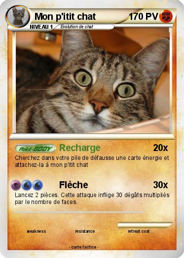 Pokemon Mon p'itit chat