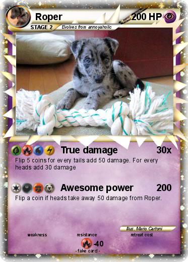 Pokemon Roper