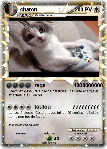 Pokemon chaton