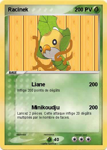 Pokemon Racinek