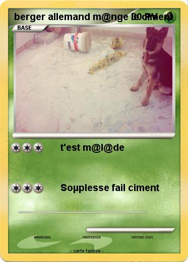 Pokemon berger allemand m@nge le ciment
