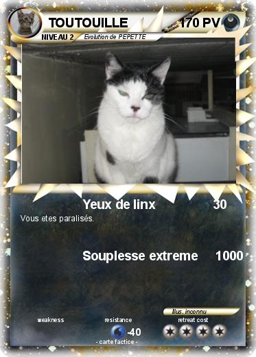 Pokemon TOUTOUILLE