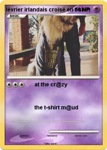 Pokemon lévrier irlandais croisé en t-shirt