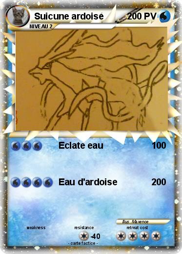 Pokemon Suicune ardoise
