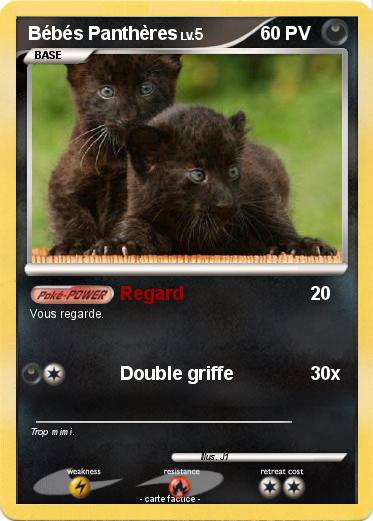 Pokemon Bébés Panthères