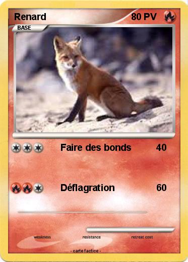 Pokemon Renard