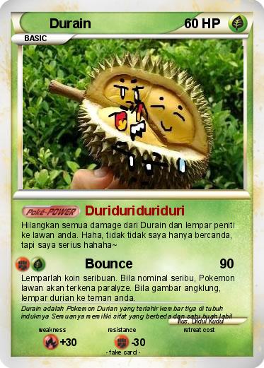 Pokemon Durain