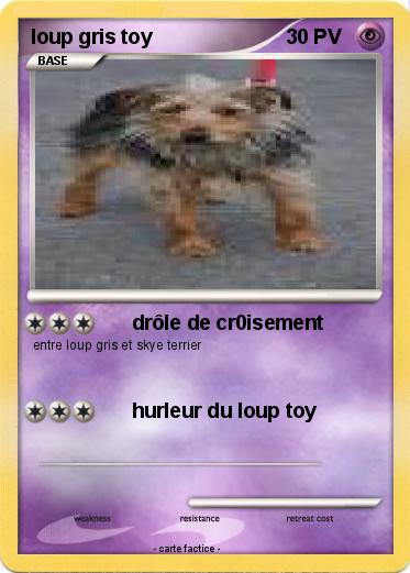 Pokemon loup gris toy