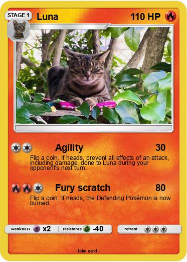 Pokemon Luna