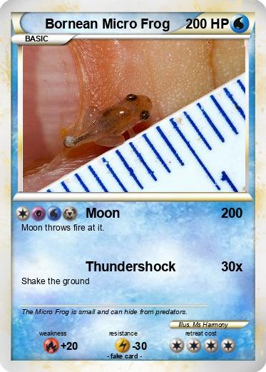 Pokemon Bornean Micro Frog