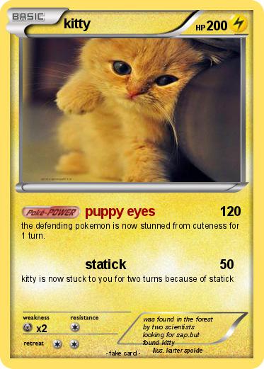 Pokemon kitty